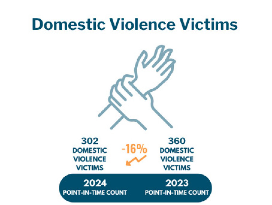 Domestic Violence Victims
